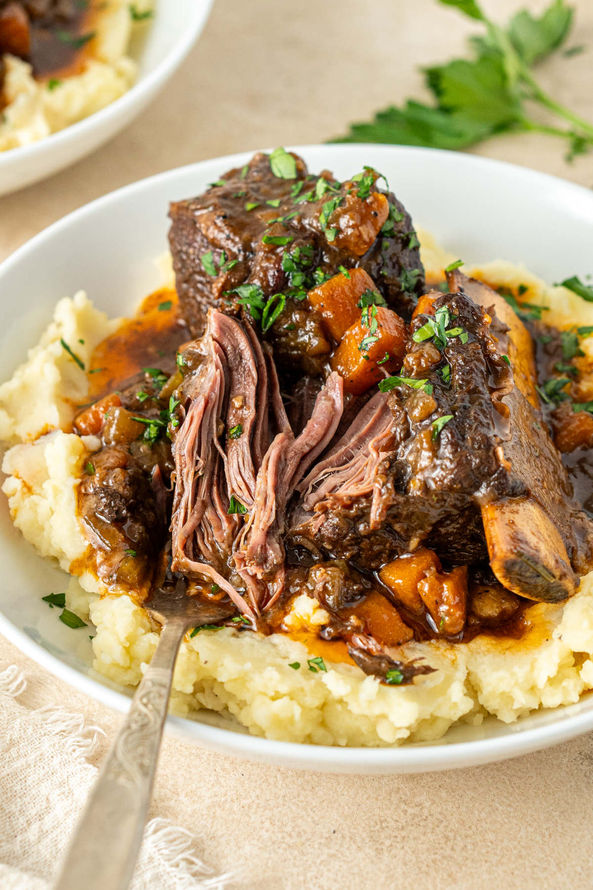 Braised Short Ribs Recipe